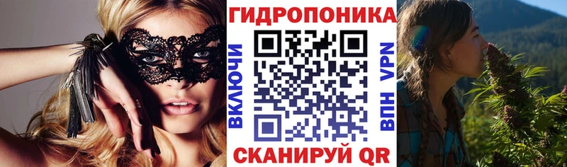 дарк нет наркотические препараты Солигалич Шишки марихуана THC 21% где продают наркотики